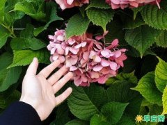 中午吸引人的文案精選23句